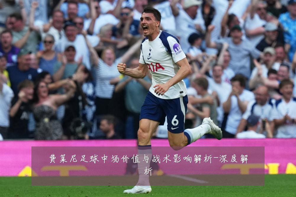 费莱尼足球中场价值与战术影响解析-深度解析